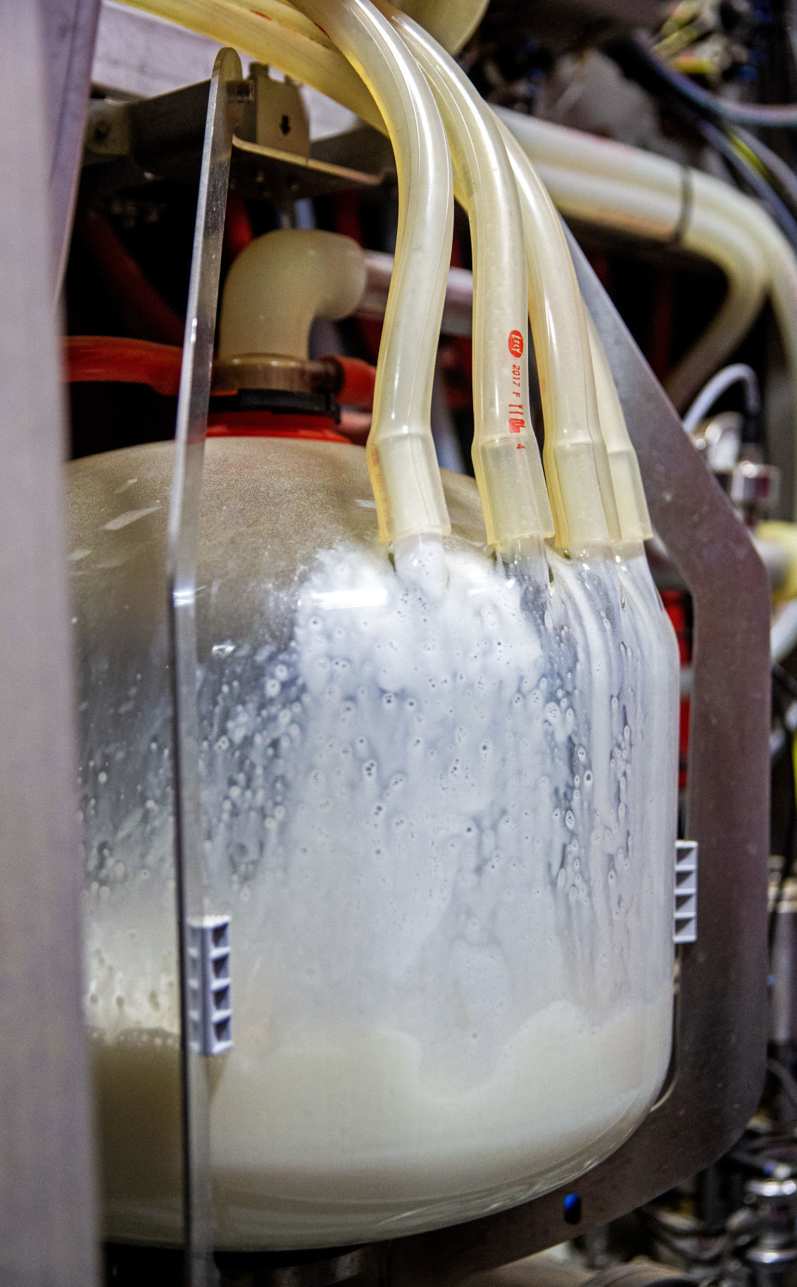 Robotic dairy